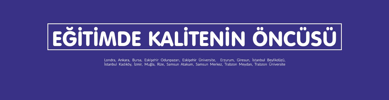 Teol Kolejleri Dil Okullari Linkedin