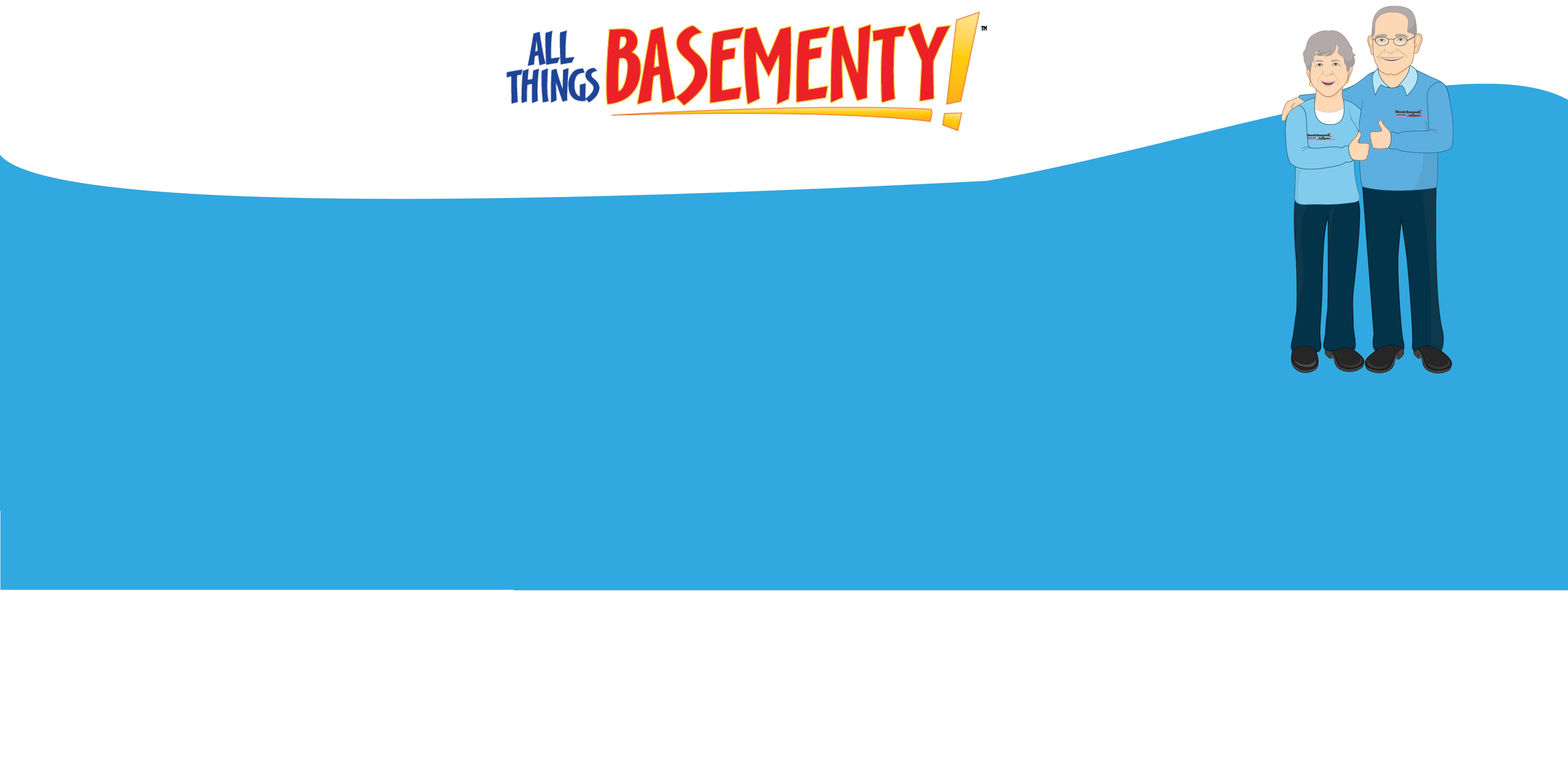 Woods Basement Systems Woods Basement Systems