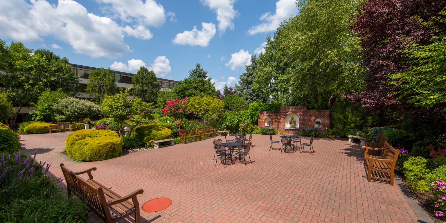 The Radnor Hotel Linkedin
