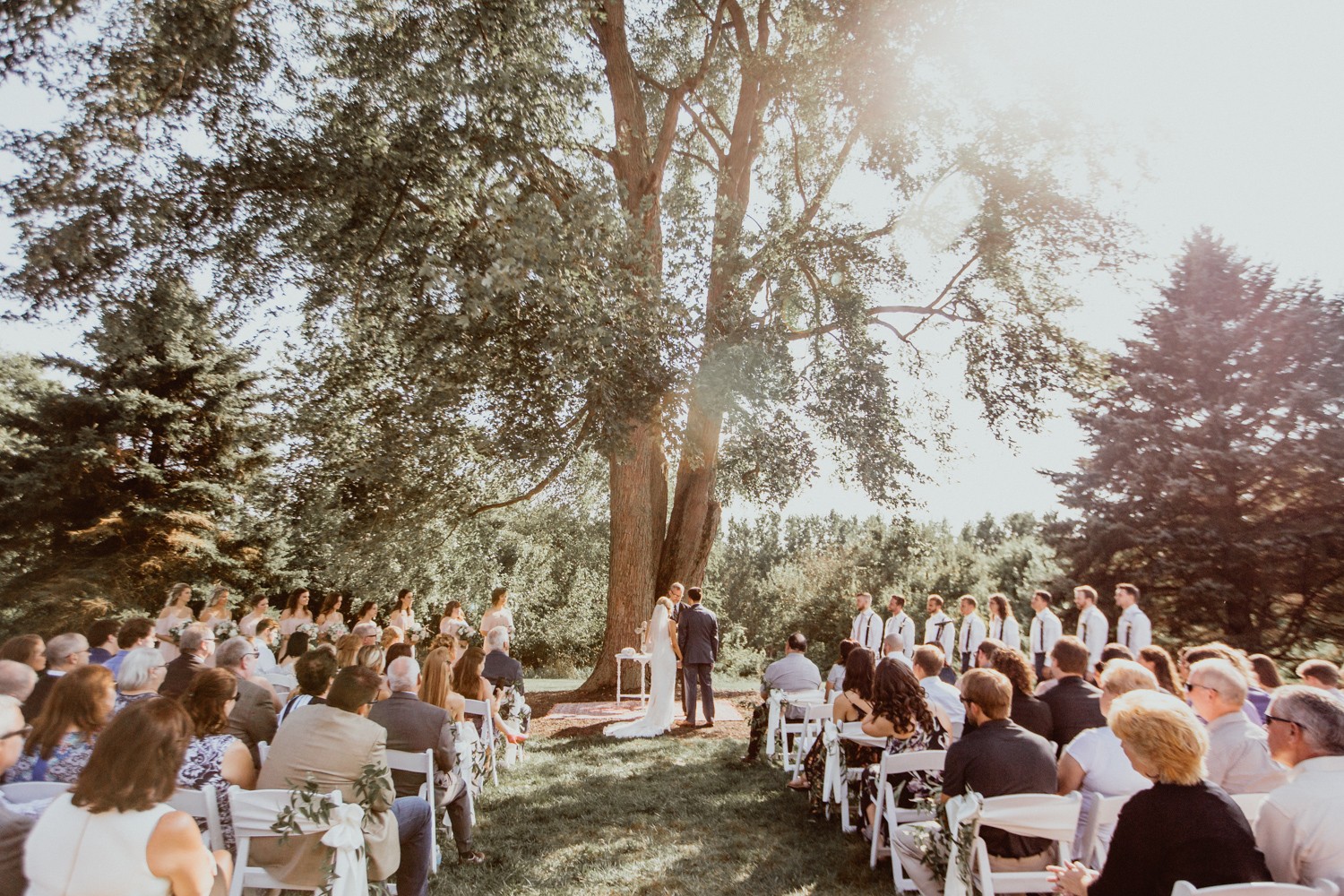 Mustard Seed Gardens Linkedin