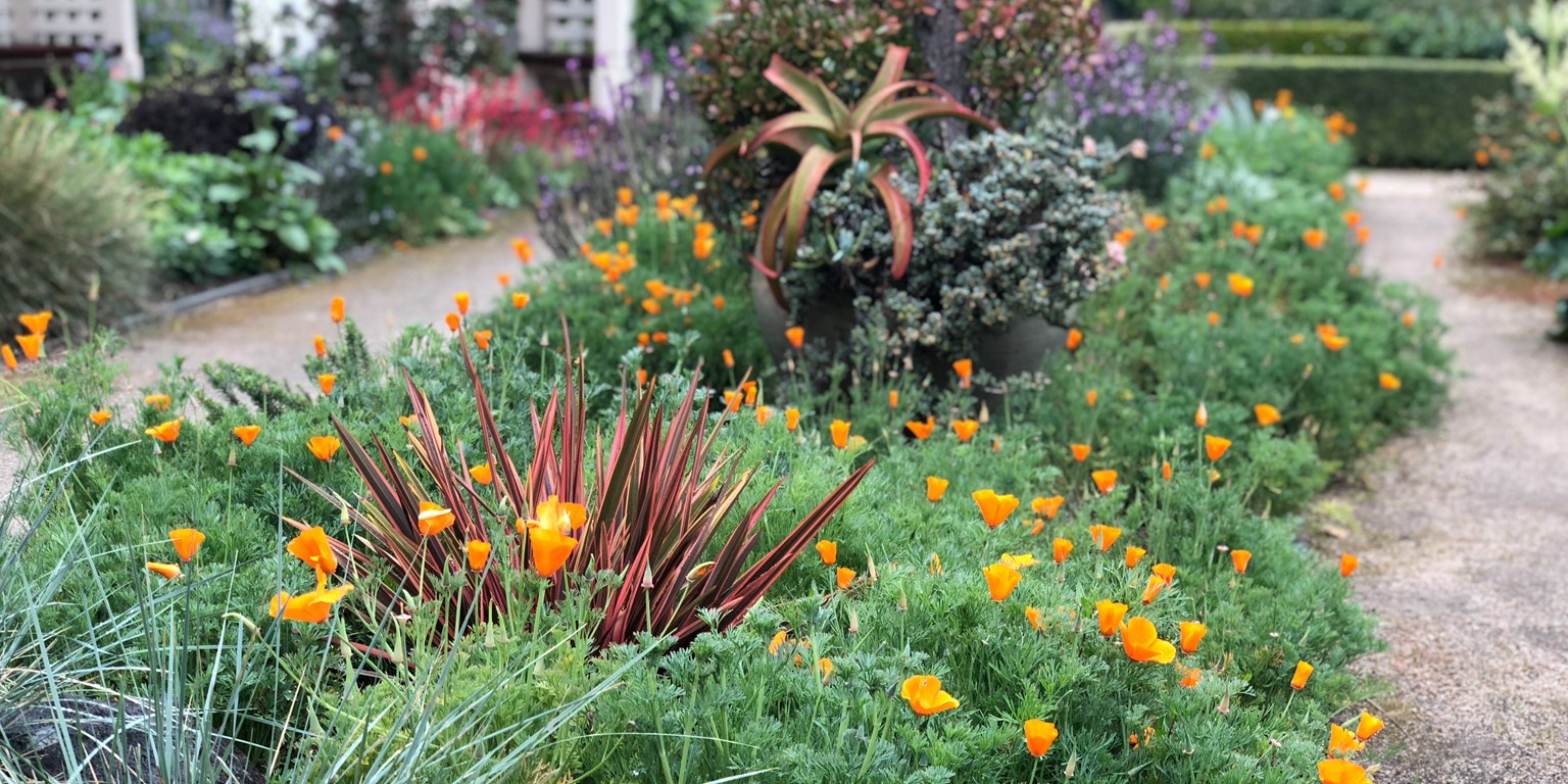 Elizabeth F Gamble Garden Linkedin