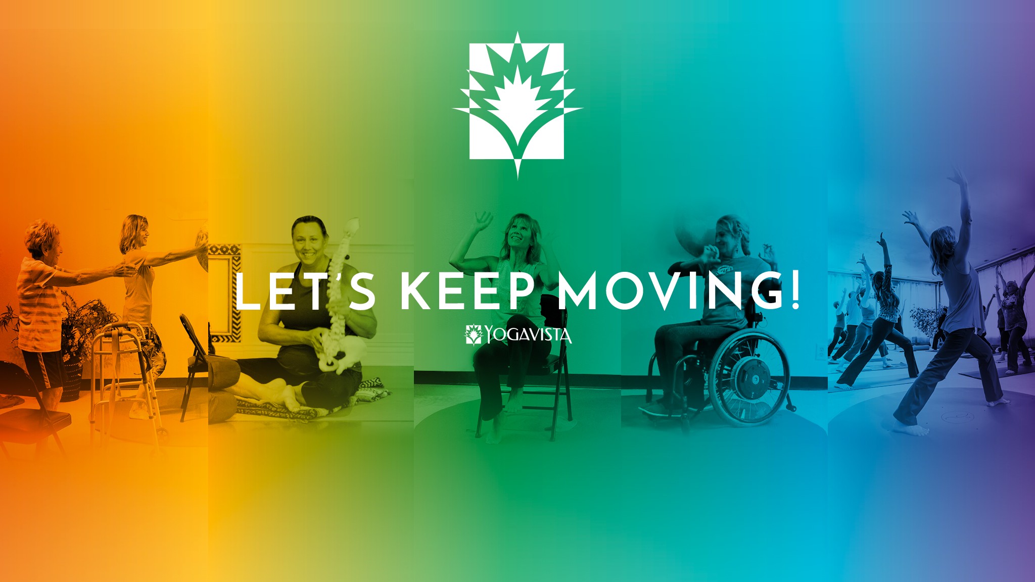 yoga vista and yogajp linkedin