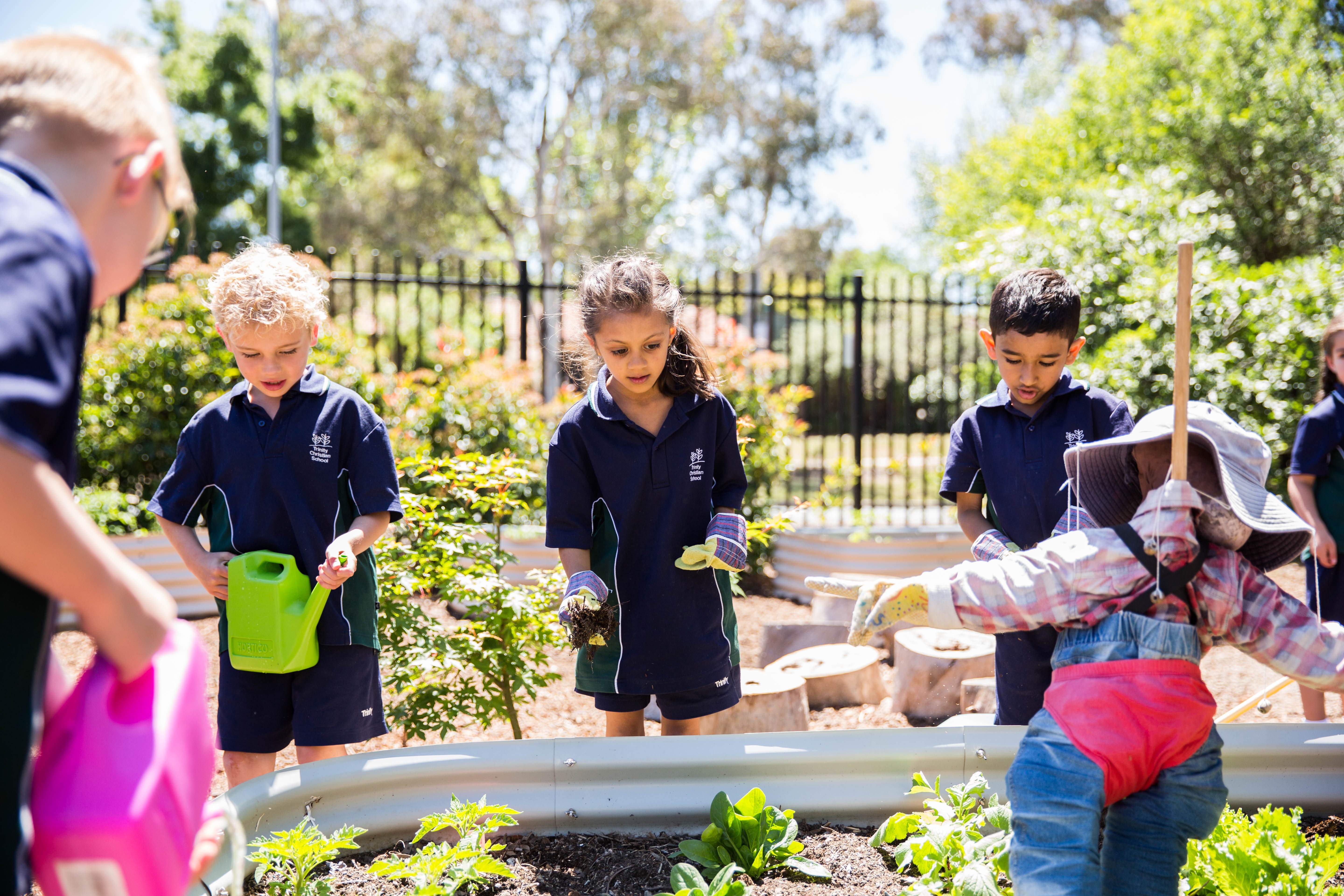 Trinity Christian School Linkedin