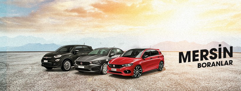 Fiat Boranlar Otomotiv Linkedin