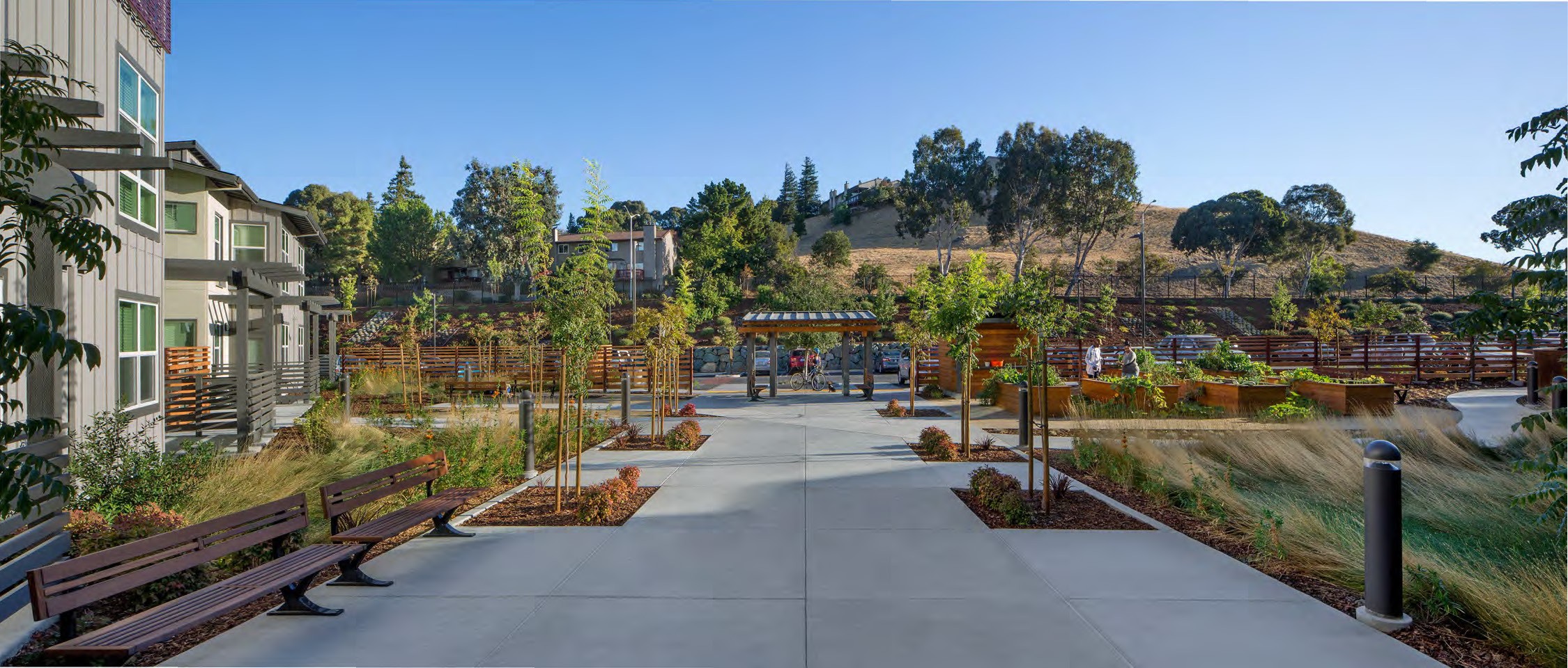 Jett Landscape Architecture Design, Seattle Landscape Architecture Firms