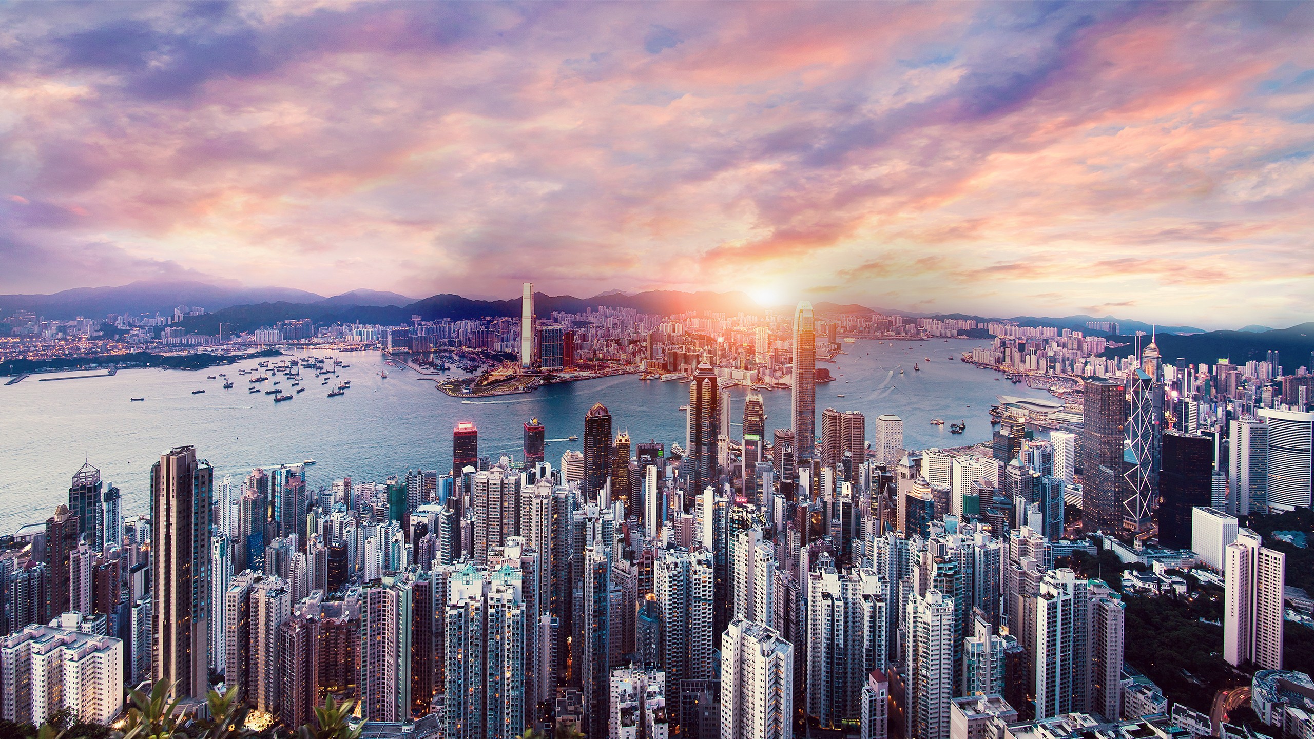 hk tourism board website