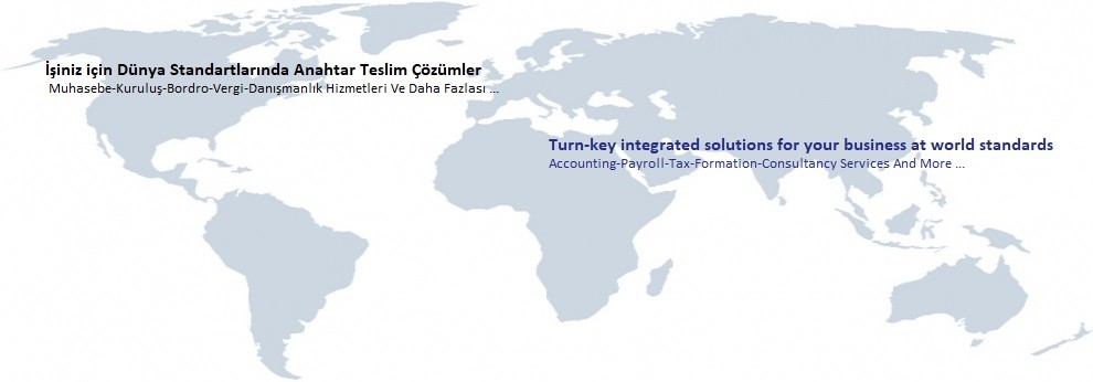 Istanbul Mali Musavirlik Muhasebe Hizmetleri Linkedin