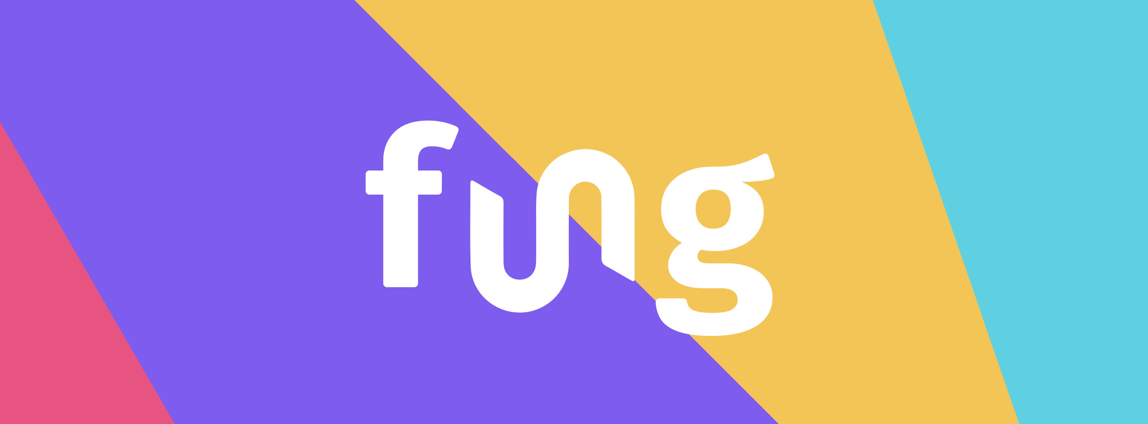 Fung Payments | LinkedIn