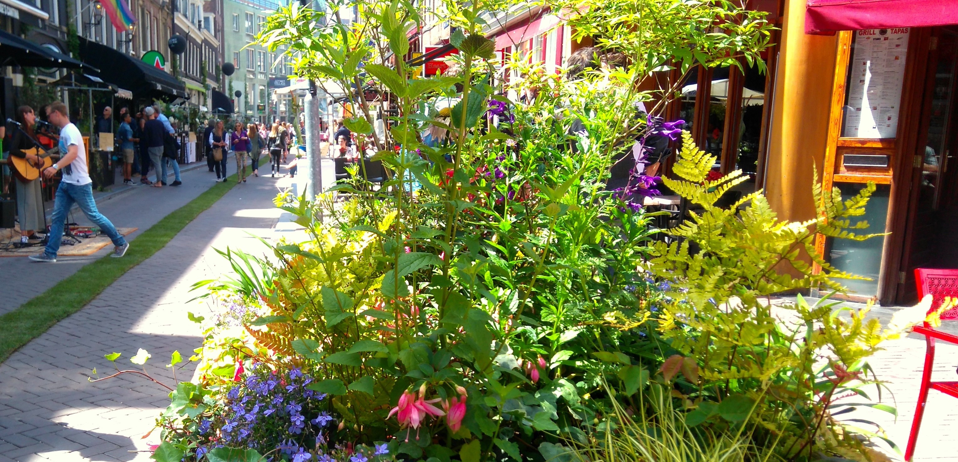 Green City Buzz Linkedin