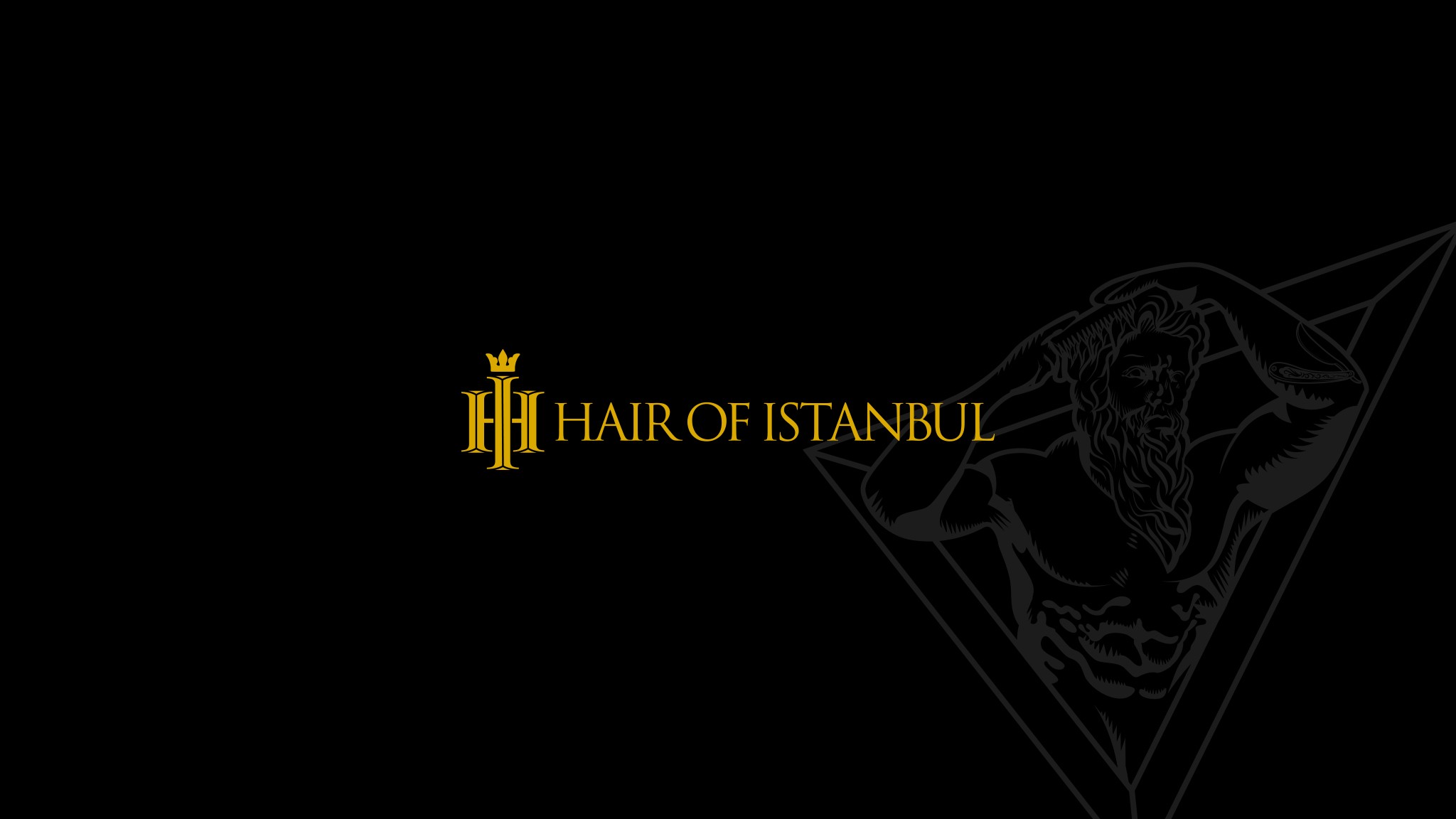 Hair Of Istanbul Linkedin