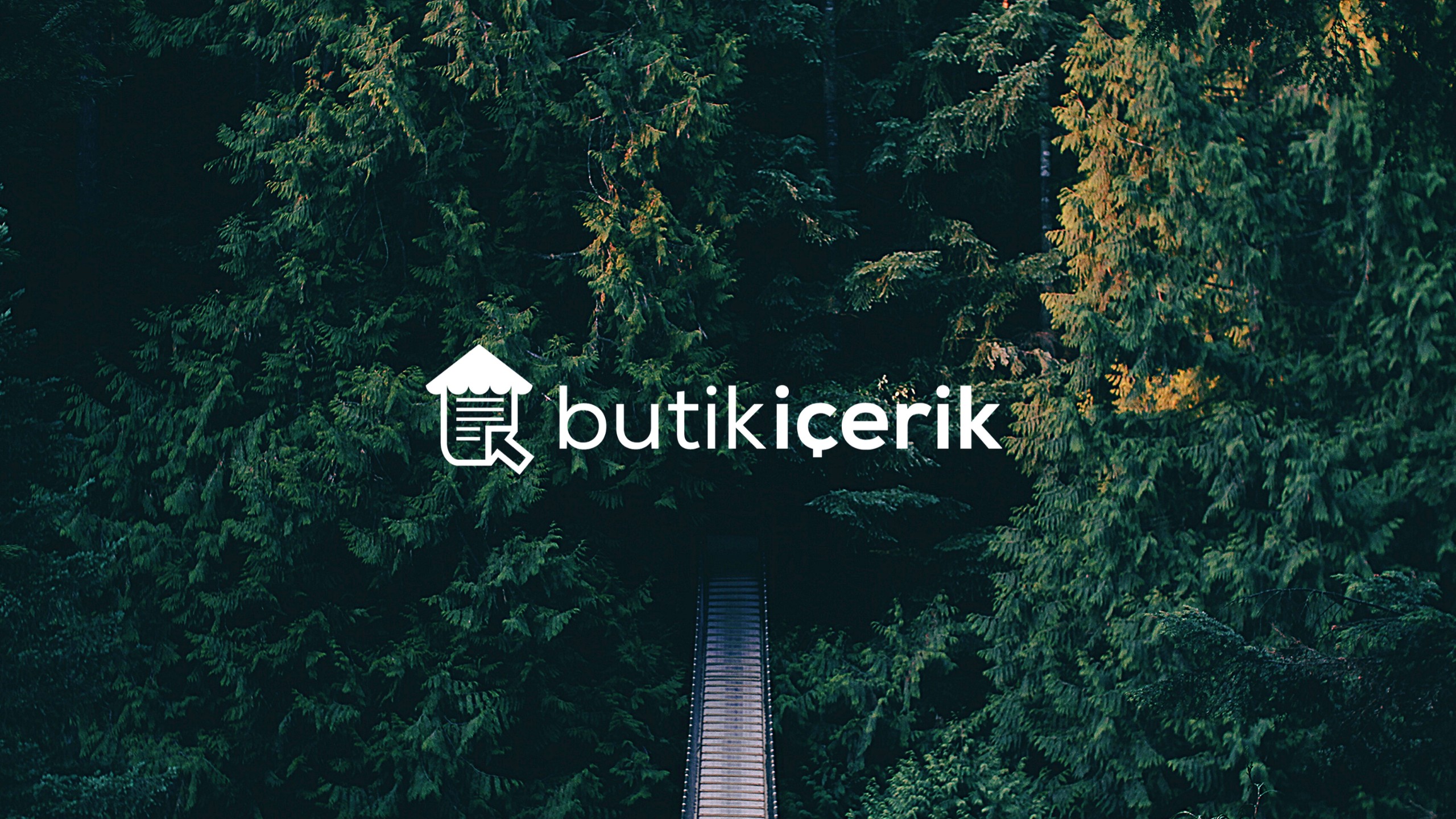 Butik Icerik Linkedin