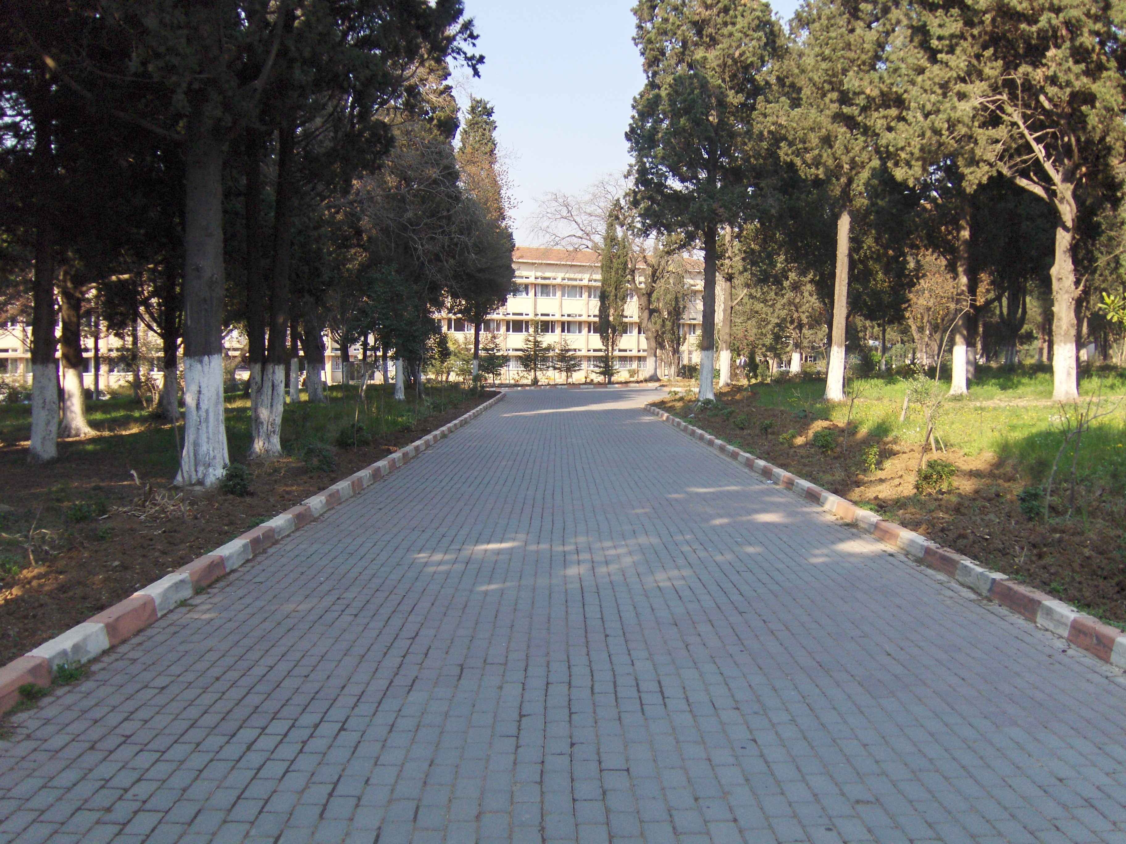 Istanbul Ataturk Fen Lisesi Unternehmensphilosophie Mitarbeiter Und Stellenangebote Linkedin