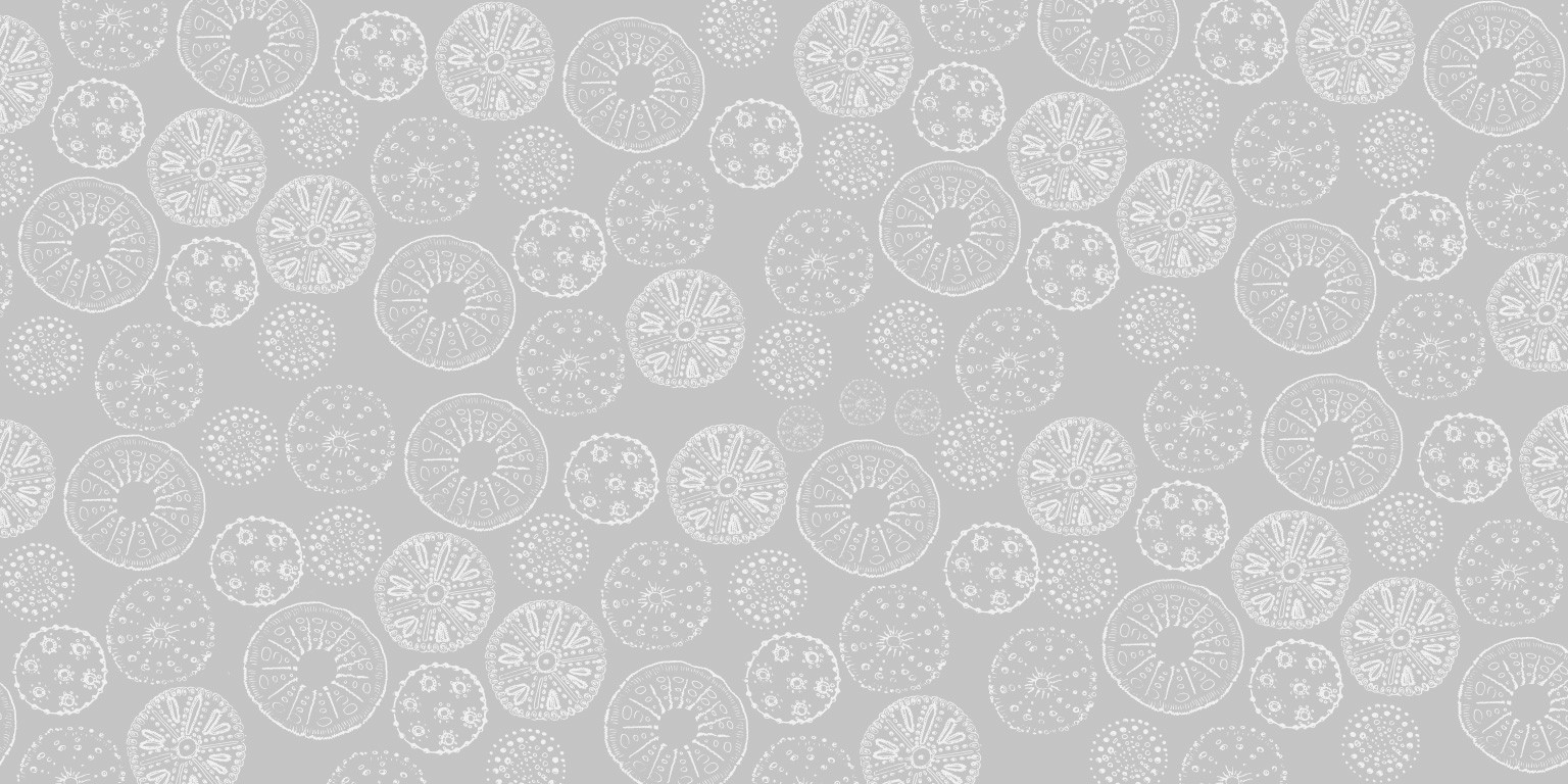 Comfort Zone Skincare Division Davines Linkedin