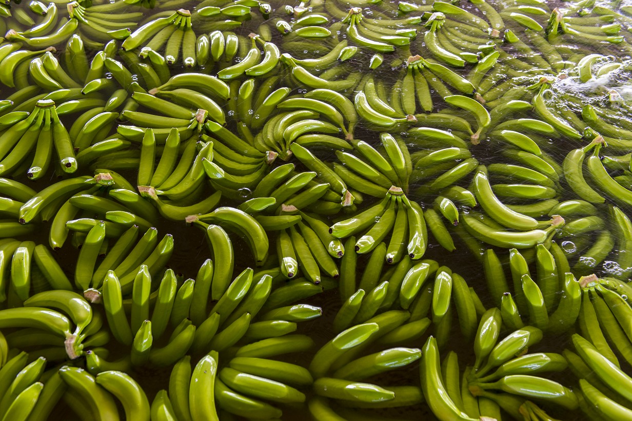 Organics Unlimited Linkedin