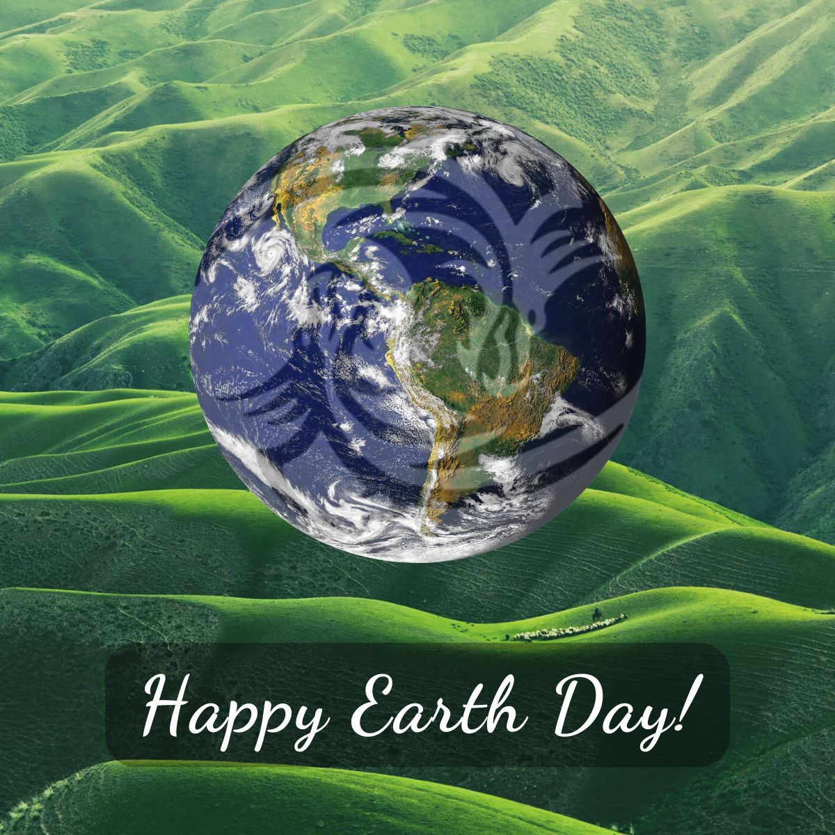 Innovative Dragon Group on LinkedIn: #earthday #saveourplanet