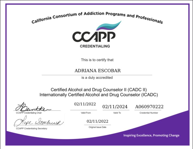 Adriana Escobar CADC II on LinkedIn: Officially certified 🥳🎉 14 comments Adriana Escobar CADC II on LinkedIn: Officially certified 🥳🎉 14 comments
