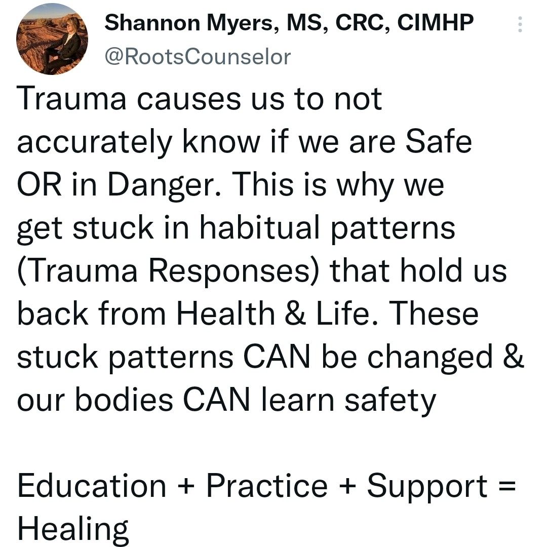 The Integrative Counselor, Shannon Myers, MS, CRC, CIMHP🌿 sur LinkedIn ...