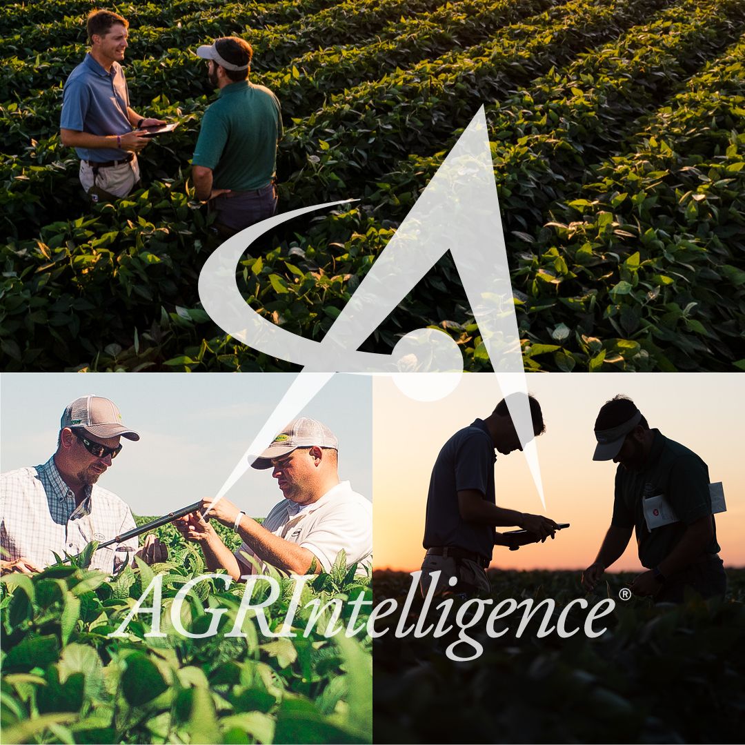 Helena Agri Enterprises LLC on LinkedIn: Locations Helena Agri Enterprises LLC on LinkedIn: Locations
