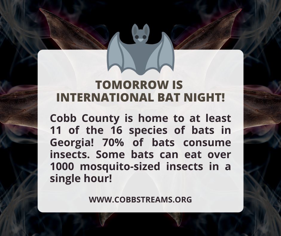 cobb-county-water-system-on-linkedin-tomorrow-is-international-bat