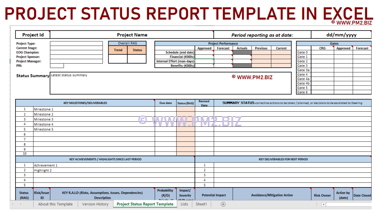PROJECT STATUS REPORT TEMPLATE IN EXCEL PROJECT STATUS REPORT TEMPLATE IN EXCEL