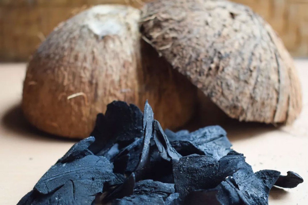 literature review on coconut shell charcoal